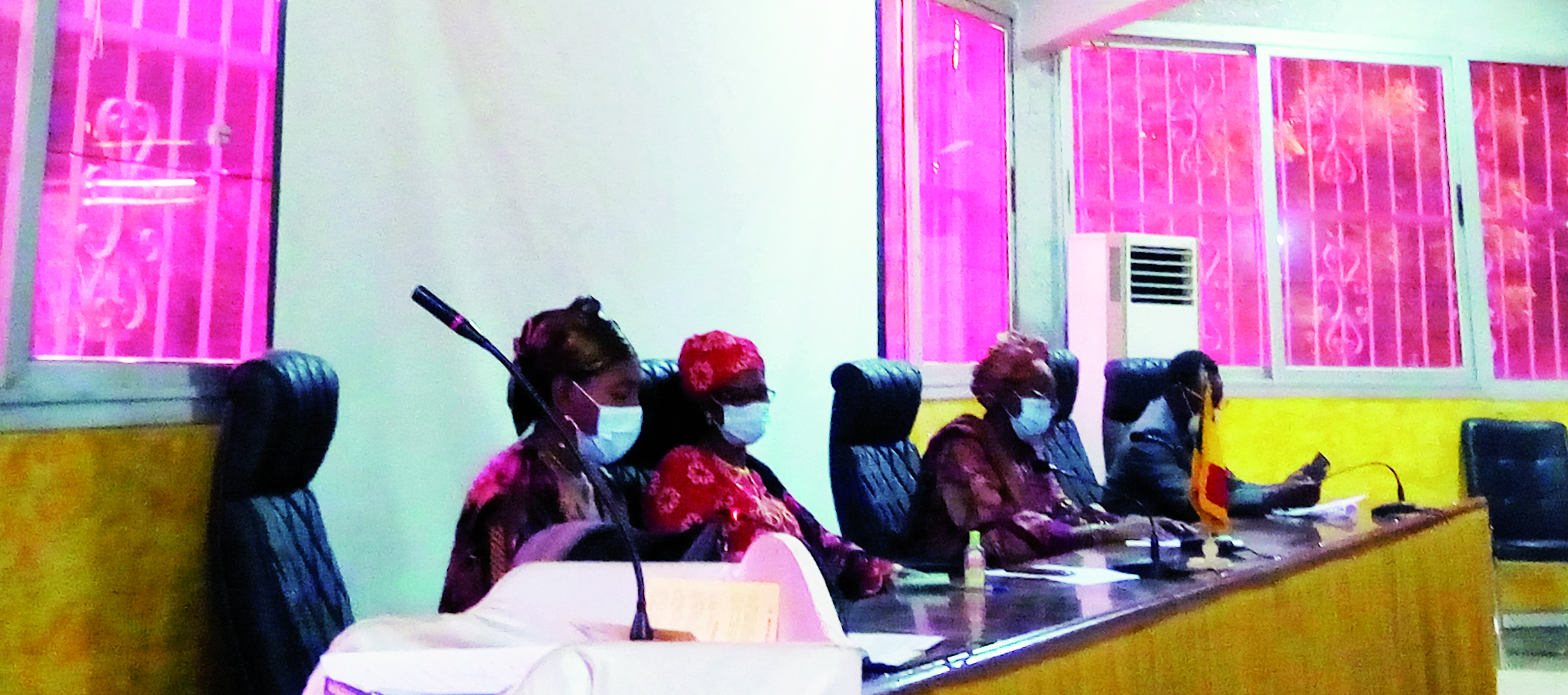 Assemblée nationale du Mali : Les 41 députées ne comptent pas faire de la figuration