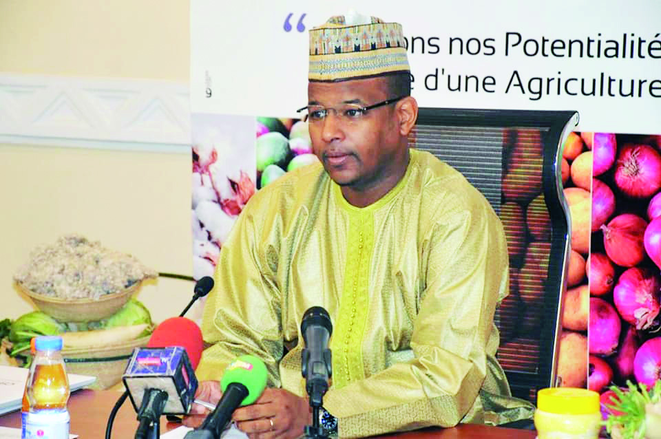 Campagne agricole 2019-2020 : Des  bons résultats, malgré la crise sécuritaire