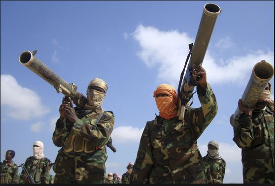 Ils sont fous ces terroristes !