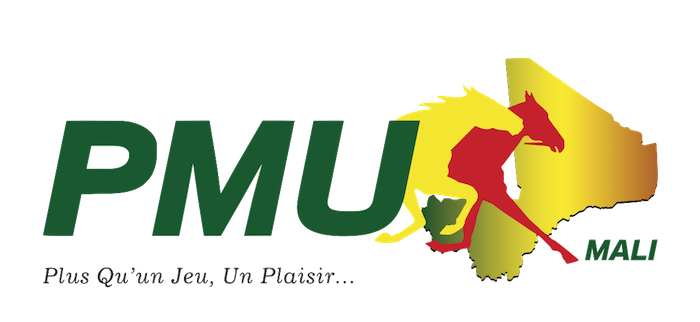 Avis d’Appel à concurrence n°001/ DG-PMU-MALI 2023