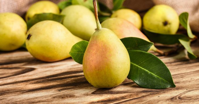 Une plante et ses vertus: La Poire
