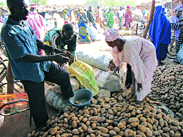 Pomme de terre : Les vendeuses se frottent les mains