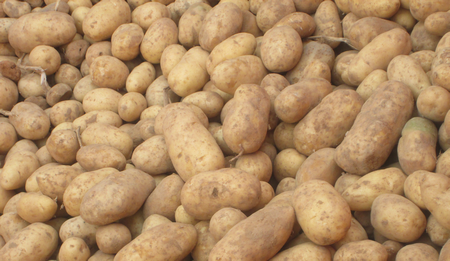Pommes de terre : Les prix ont grimpé