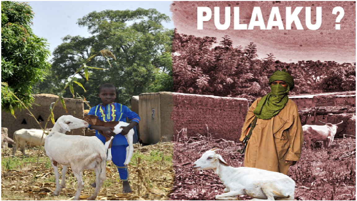 EXCLUSIF / Un homme de Kouffa témoigne après lui avoir échappé !