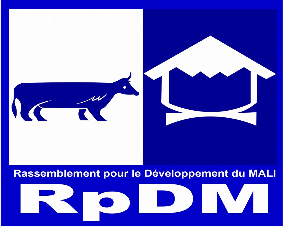 Projet de constitution : L’article 46 dénoncé par les soutiens de Dr Cheick Modibo Diarra