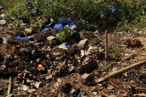 Le sacrifice de malheur