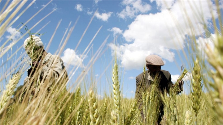 Insécurité alimentaire au Mali : Plus de 3,5 millions de personnes sous menace 650 000 personnes en besoins d’assistances alimentaires urgentes