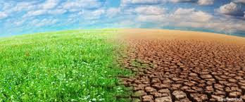 Lutte contre le changement climatique : Pour la préservation de la réserve de biosphère de la boucle du Baoulé, l’UNESCO appuie l’ONG IWENE