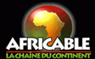 Référendum du 18 juin: Joutes entre le Oui et le Non sur Africable TV