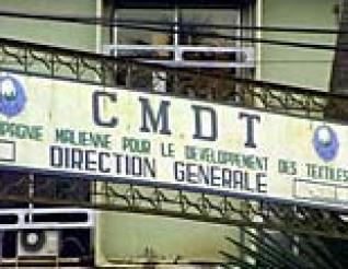 Présumé détournement de 3,8 milliards à la CMDT: le PDG, BABA Berthé refuse de répondre à une convocation.