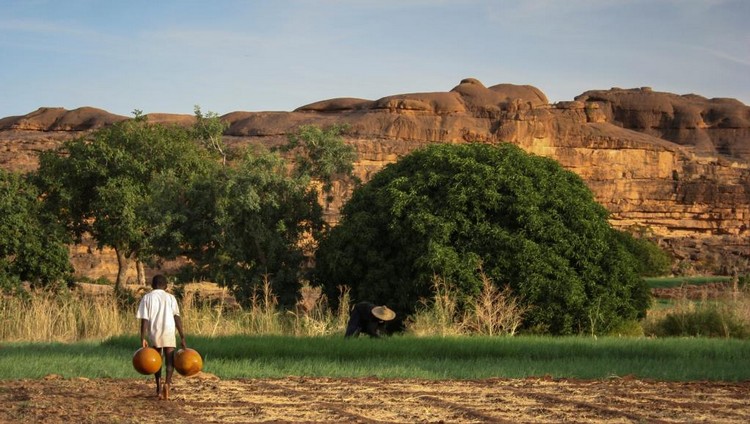 Tourisme : COVID-19, le cercueil du tourisme au Mali