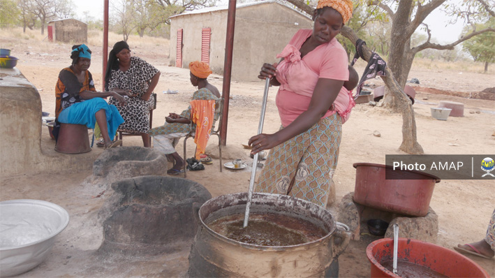 Transformation artisanale du karité : Les braves dames de «Sinsinbere» méritent mieux