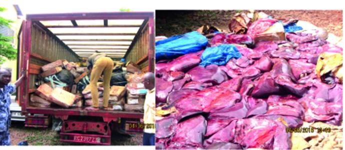 Suspension de l’importation de la volaille en provenance du Sénégal